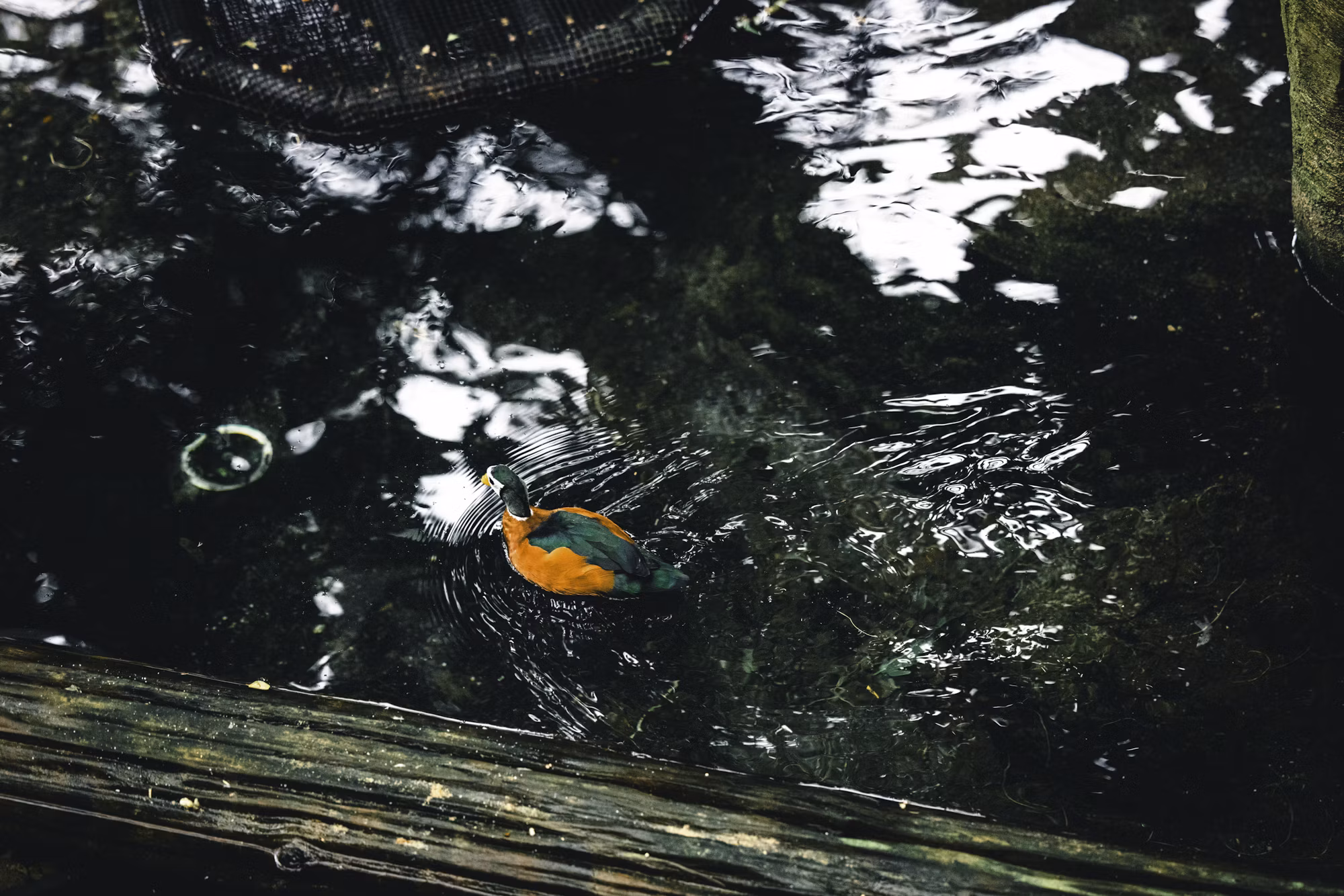 Camping Essentials: Your Ultimate Guide to Outdoor Gear